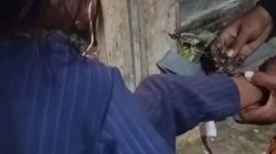 Bocah di Mesuji Lampung Dirantai Orang Tuanya di Dalam Rumah